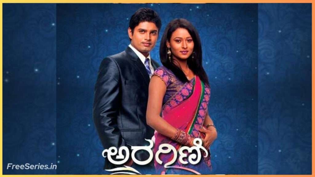 Aragini Kannada Serial Details